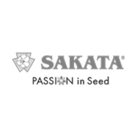 Logo 12