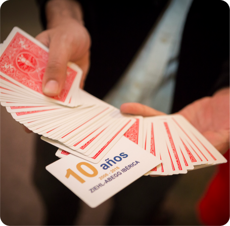 Ziehl Abegg Ibérica 6